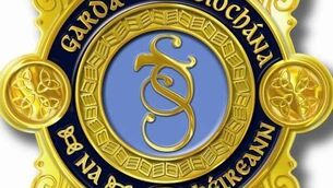 <p>An Garda Siochána are investigating the incident </p>