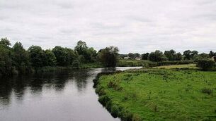 Man (30s) charged in connection with €14.2m worth of cocaine seized at Rosslare Europort