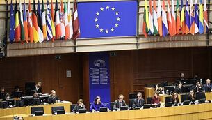 Man refused bail after firearm and ammunition charge Man refused bail after firearm and ammunition charge