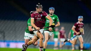 Former deputy State pathologist's evidence at murder trial was 'dangerous', inquiry told