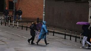 Number of rentals covered by Housing Assistance Payment plunges again Number of rentals covered by Housing Assistance Payment plunges again