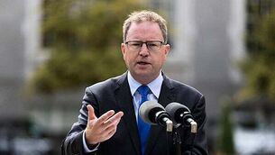 Man arrested over fatal hit-and-run incident in Co Dublin Man arrested over fatal hit-and-run incident in Co Dublin