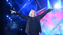 Joe Elliott secures permission for 5-metre sculpture in Dublin home despite driver distraction concerns