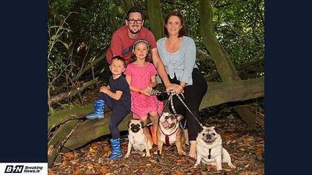 Six-year-old girl asks Santa to bring her missing dogs home