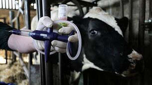 Glen Ward and brother Eric O’Driscoll held on firearms offences Glen Ward and brother Eric O’Driscoll held on firearms offences