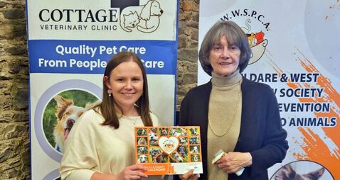 Kildare charity helped more than 1,000 animals this year