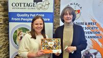 Kildare charity helped more than 1,000 animals this year