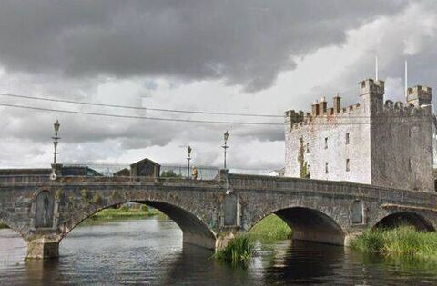 Residents of Dún Brinn, Athy have been terrified with vicious dogs on the loose