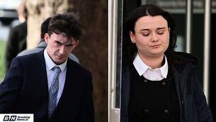 Police arrest burglary suspect who had climbed tree in Belfast Police arrest burglary suspect who had climbed tree in Belfast