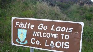 Kildare man must stay out of Laois except for court 