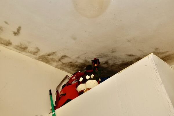 Mould on the ceiling Mould on the ceiling