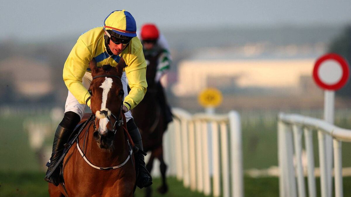 Punchestown Racecourse: Preview and Tips for Tuesday’s Eight-Race Meeting