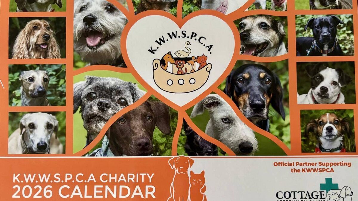 Kildare Rescue Tails: great support for charity