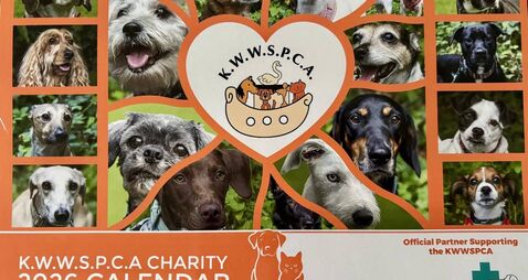 Kildare Rescue Tails: great support for charity