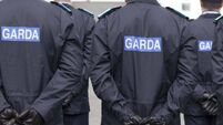 Kildare woman with expired tax on car called gardaí ‘pigs’