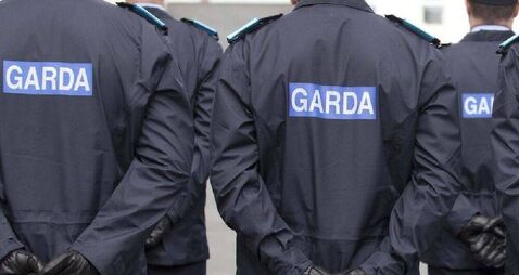 Kildare woman with expired tax on car called gardaí ‘pigs’