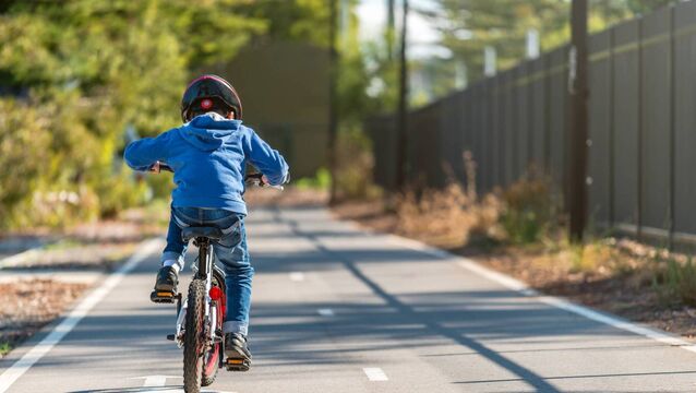 <p>Photo for illustrative purposes only</p>