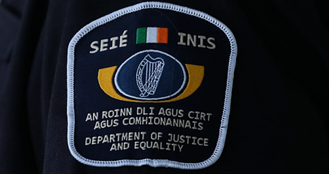 119 gardaí escort 52 deportees on €190K charter flight as families sent home