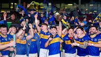 Grangenolvin withstand strong second half by Fighting Cocks to lift Leinster title