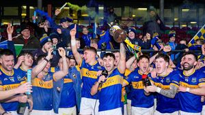 Grangenolvin withstand strong second half by Fighting Cocks to lift Leinster title