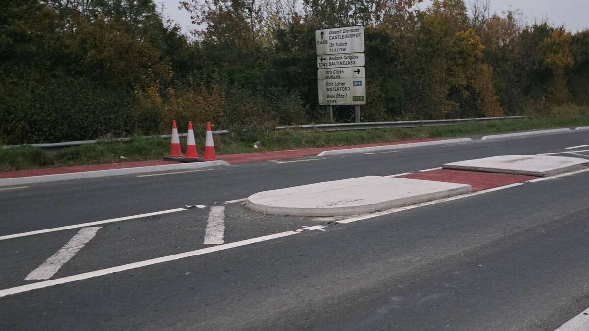 Kildare Tesla crash report sparks reaction