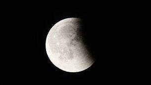 Man arrested after €170k of drugs seized in Cork Man arrested after €170k of drugs seized in Cork