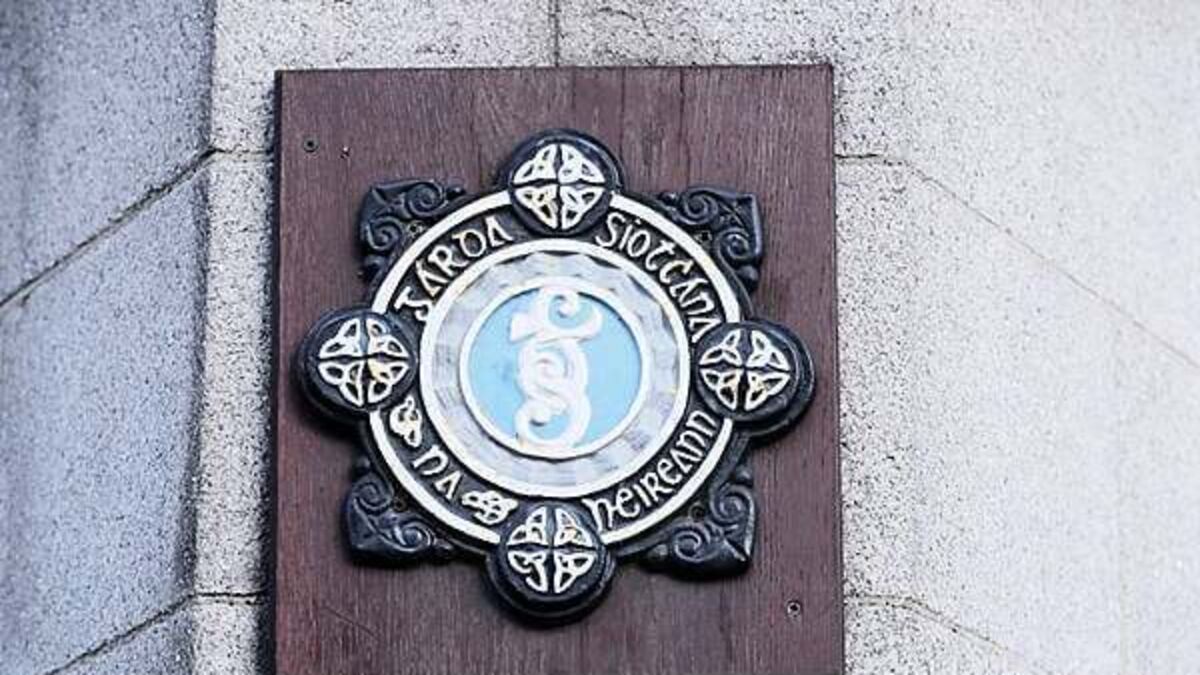 'Considerable' achievements by gardaí in first half of 2025, policing authority says