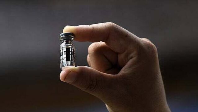 Shark jaw and 15 vials of bear bile seized by Revenue at Shannon Airport and Dublin postal hub