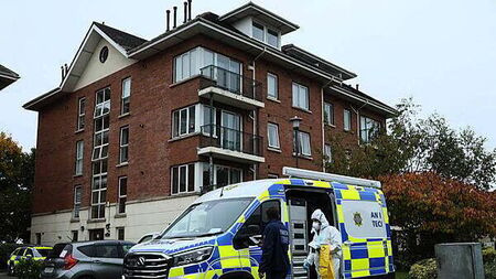 Murder accused says Somali documents 'not real' as doubts persist over age