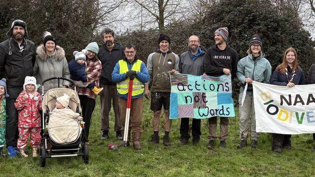Naas volunteers plant nearly 1,000 trees 