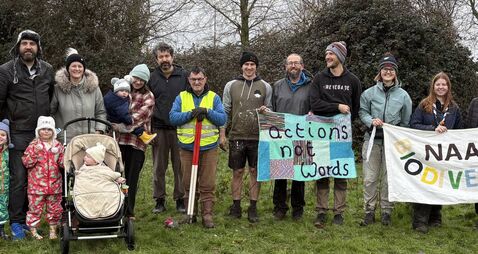 Naas volunteers plant nearly 1,000 trees 