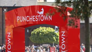 <p>Punchestown Racecourse are opening their gates to spectators for free for their famous New Year's Eve meeting as part of their 175 years anniversary celebrations</p>