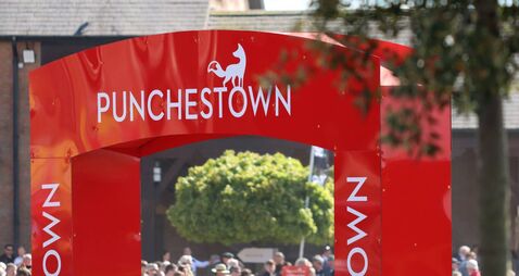 Punchestown Racecourse offers free admission for all for famous New Year's Eve meeting