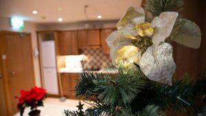 Christmas packs for kids in Kildare emergency accomodation 