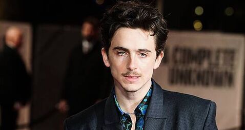 ‘She dreamed a dream’: Timothee Chalamet reveals he is a Susan Boyle fan