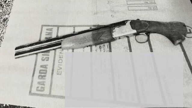 Limerick brothers jailed for 14 years for gun attack on family’s home