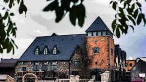 Woke up in bed beside defibrillator he’d stolen