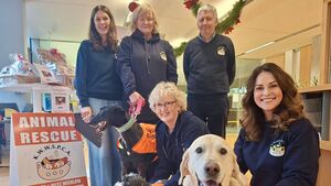 Kildare charity helped more than 1,000 dogs
