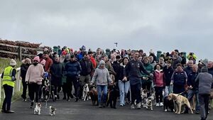 Dog Walk returns to Curragh on Stephen's Day