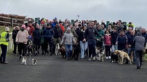 Dog Walk returns to Curragh on Sunday