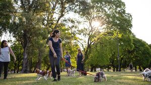 New dog park on horizon in Kildare
