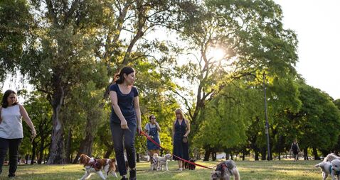 New dog park on horizon in Kildare