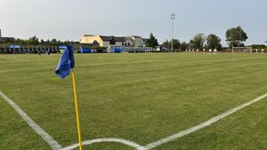 Newbridge Town confirmed as one of 15 clubs to enter new FAI National League