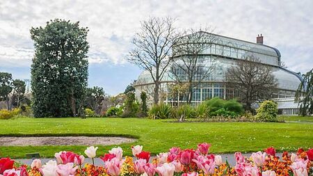 ‘It’s like Noah’s Ark’: One man is banking every native seed in Ireland