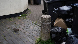 Motorcyclist (20s) remains in critical condition after crash in Co Wexford