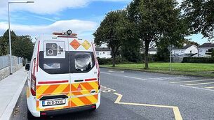 Oireachtas committee will keep pressure on ESB to deliver on 'highly ambitious' targets