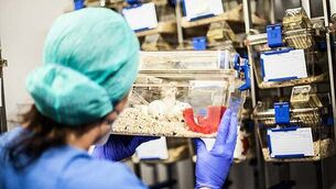 Woman's body found in rural area in Clonmel, Co Tipperary