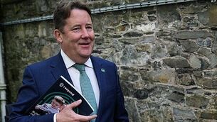 Good Friday Agreement wording on border poll is ‘workaround’, McDonald says