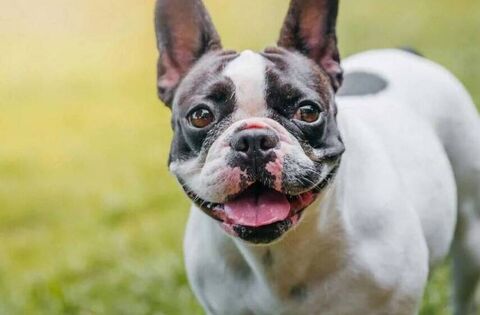 The offences occurred following an undisclosed dispute