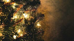 Christmas quiz series: How well do you know your Christmas carols?